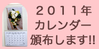�X�^�W�I�g�������̃J�����_�[2011