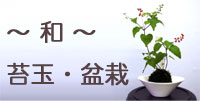 �`�a�`�ۋʁ@�~�́@�����Ȃ�X�^�W�IHiro�i�ԉ� �����j