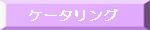 �ԁ@�����@�P�[�^�����O�@��������